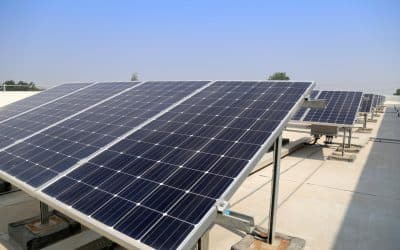 How Sydney Businesses Can Save with Solar