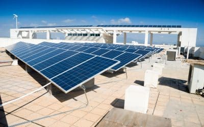How Solar Power Can Boost Your Business in Sydney