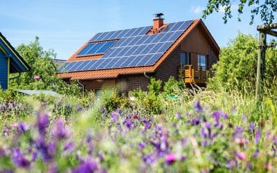 Easy Ways Solar Panels Save You Money