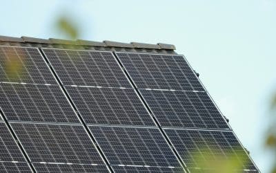 Solar Power Tips for Small Businesses in Sydney