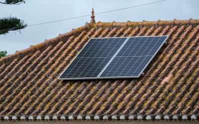 Top Reasons Why You Should Switch to Solar Energy in 2025