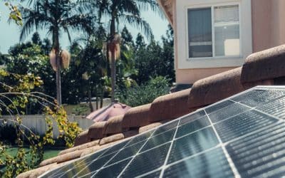 Save Money with Solar Panels in Sydney: A Complete Overview